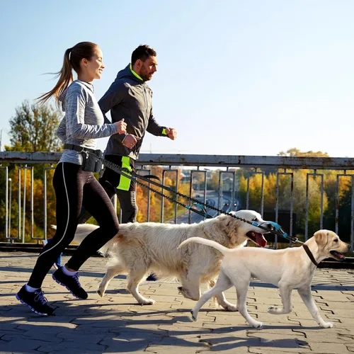 Miniatura 7 de PetAmi Correa de perro manos libres premium para 2 perros, correa de cinturón ajustable para caminar con perro, bolsa de accesorios de mochila