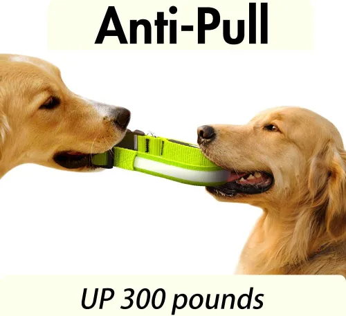 Miniatura 4 de YFbrite Collar de perro LED ajustable ultraligero, collares de perro con luz recargable que brilla en la oscuridad, collares de visibilidad y Verde