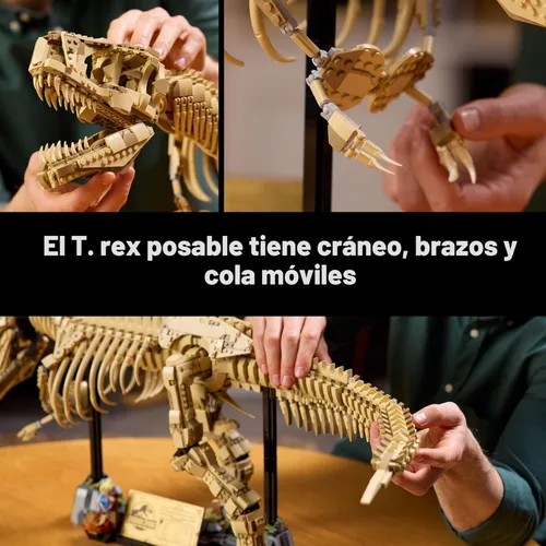 Miniatura 4 de LEGO Jurassic World Dinosaur Fossils: Tyrannosaurus Rex - Juego de construcción para adultos, mayores de 18 años, regalo de dinosaurio para amantes