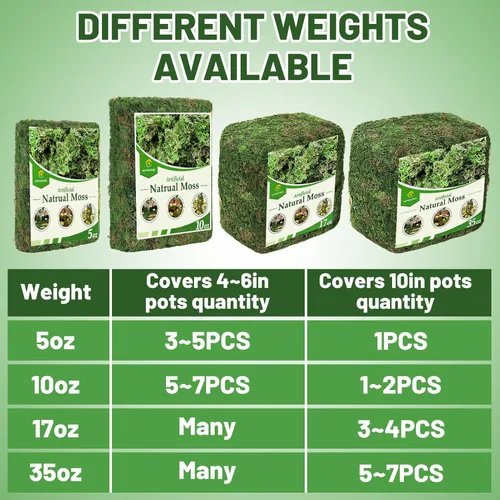 Miniatura 6 de Musgo verde natural de 10 onzas para plantas de interior, musgo real de bosque seco para manualidades, jardines de hadas artificiales, mosswall