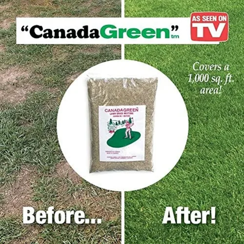 Miniatura 3 de Canada Green Semillas de césped - Crece hierba verde rica y saludable, plantas de semillas de césped, patio, jardín, bolsa de 2 libras
