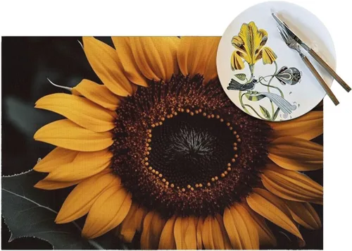 Miniatura 5 de 6 PCS PVC Placemats Set Place Mats A Sunflower Non-Slip Weave Place Mats 12" x 18" Farmhouse Table Mat Set for Family Dinners Wedding Parties