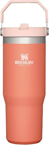 Miniatura 106 de Stanley IceFlow - Vaso con pajilla abatible con asa, de 20 onzas, tapa giratoria y popote abatible, botella de agua resistente a fugas, acero