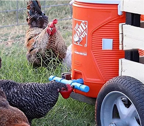 Miniatura 5 de DoubleWood Máquina Automática Completa para Beber de Aves de Corral, Taza de Agua para Pollos, Tazas de Agua para Beber/Máquina de Beber para Aves