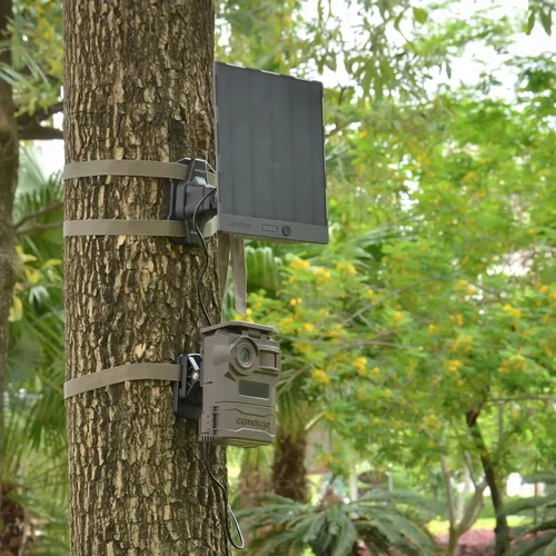 Miniatura 4 de Soporte de montaje para cámaras de sendero Camojojo con inserto roscado de 1/4" -20, soporte ajustable giratorio 360° para accesorios