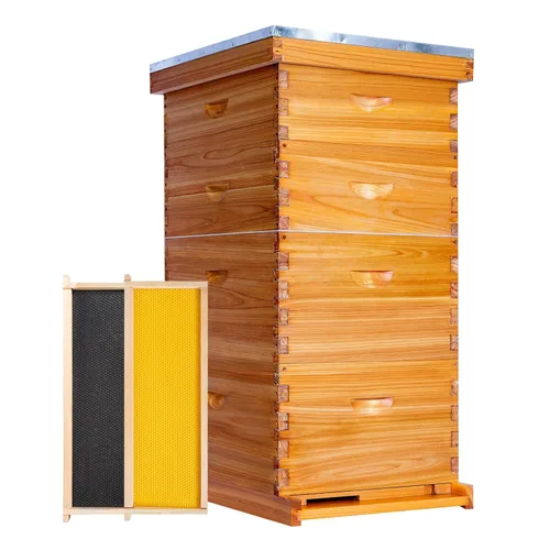Miniatura 9 de Honey Lake Caja mediana de 10 marcos para colmena de abejas, caja de abeja súper miel Langstroth sumergida en cera de abeja, incluye marcos
