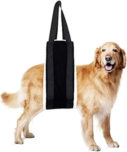 Miniatura 9 de Arnés de elevación para perros grandes, de 30 a 120 libras, arnés de elevación para patas traseras, ayuda a mascotas mayores con movilidad reducida