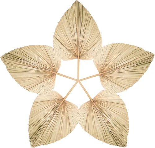5 abanicos grandes de hojas de palma secas bohemias naturales con tallo, ramo de flores de palmera tropical, decoración bohemia de boda para jarrón,