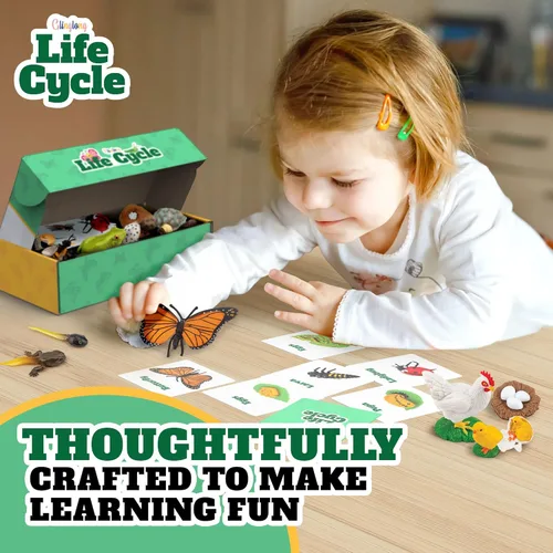 Miniatura 8 de Kit de animales de ciclo de vida, juguete de ciencia Montessori con juego de 24 piezas, mariposa, rana, pollo, abeja, mariquita y tortuga, regalo