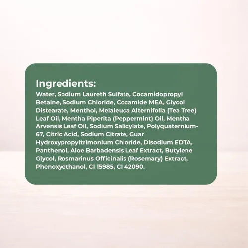 Miniatura 7 de Daeng Gi Meo Ri Tea Tree Cool Shampoo Cuidado del cuero cabelludo refrescante con árbol de té y aloe vera Refresca el cabello graso, hidrata