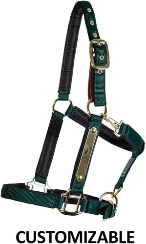 Miniatura 7 de Dura-Tech Cabestro de caballo totalmente acolchado de lujo Superposición de tela de nailon de doble capa de 1 pulgada Hardware resistente