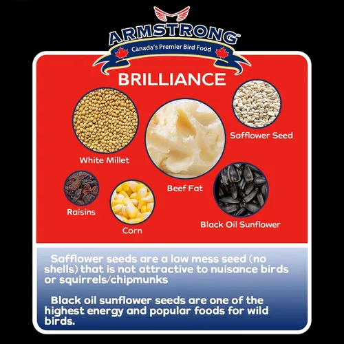 Miniatura 4 de Armstrong Bird Food Royal Jubilee Brilliance - Pastel de sebo de 10.6 onzas (paquete de 3), con girasol de aceite negro, cártamo, pasas, cerezas