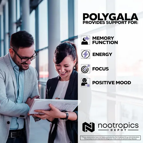 Miniatura 4 de Nootropics Depot Polygala tenuifolia Cápsulas 100 mg 90 unidades Extracto 20:1 Yuan Zhi Promueve la función cognitiva, el aprendizaje