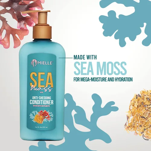 Miniatura 4 de Mielle Organics Sea Moss - Acondicionador hidratante para cabello seco, fortalece las hebras para reducir el desprendimiento, mejora el aspecto