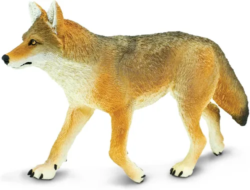 Safari Ltd. Figura de juguete Coyote – Figura detallada de plástico de 6.5 pulgadas – Divertido juguete educativo para niños, niñas y niños a partir