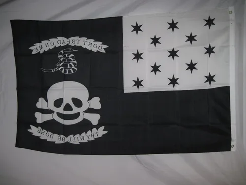 Miniatura 4 de Bandera de Plattsburgh de 3 x 5, 3 x 5 pies, NewL8