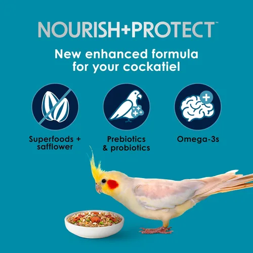 Miniatura 3 de Kaytee Forti-Diet Pro Salud+Nourish+Protect alimento para periquitos, apoya la cría y la muda, nutrición respaldada por la ciencia, salud digestiva