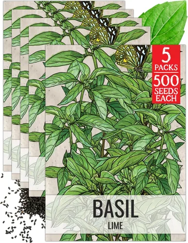 Miniatura 33 de Seed Needs Semillas de albahaca para plantar hierbas de albahaca tailandesa, sin OMG y semillas de hierbas sin tratar para cultivar un jardín