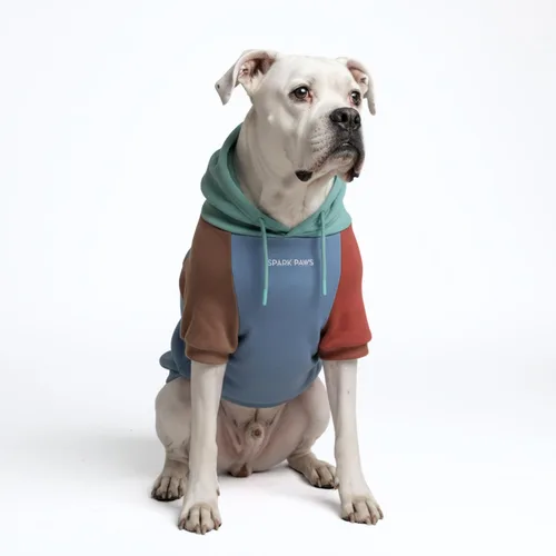 Miniatura 94 de Spark Paws Sudadera con capucha para perro, suéter de primera calidad para perros pequeños, medianos y grandes Trajes cálidos para bulldogs