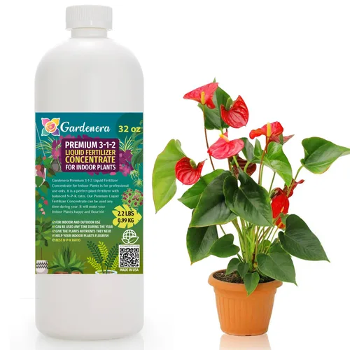 Miniatura 47 de 𝐁𝐄𝐒𝐓𝐒𝐄𝐋𝐋𝐄𝐑 Fertilizante Soluble en Agua 20-20-20 – Polvo para Alimento Líquido de Plantas para Plantas de Interior y Exterior, Orquídeas, Vegetales