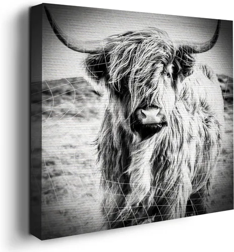 Miniatura 29 de Mavis Print - Lienzo decorativo para pared con diseño de conejo/conejo, 36 x 36 pulgadas, decoración de pared de animales impresos en HD y marco