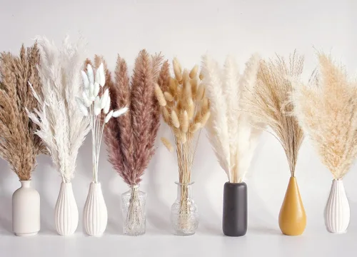 Miniatura 9 de Bannifll 125 PCS Ramo de Hierba de Pampa Seca, Decoración de Mesa Boho, Flores Secas Cola de Conejo, Pampas Marrones, Hierba de Pampa Blanca
