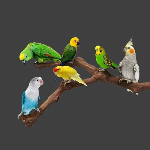 Miniatura 4 de 5 piezas de palo de uva natural Perca Swing Juguetes para masticar jaulas de loros, cacatúas, periquitos, pinzones - Palo de pie para pájaros 1