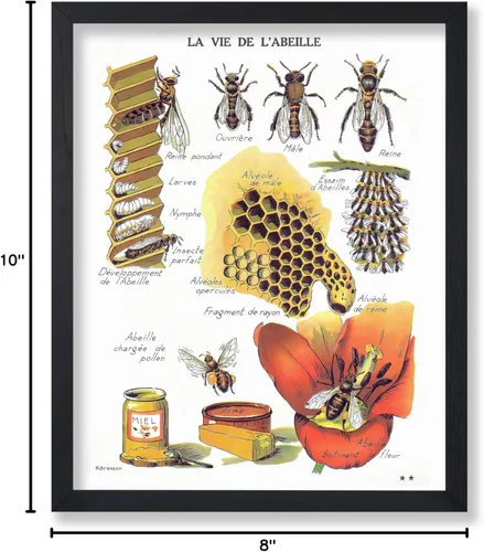 Miniatura 7 de Poster Master Póster vintage de miel, impresión retro de La Vie De L'Abeille, arte de panal de abeja, arte de pared de abeja, regalo para hombres