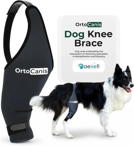 Ortocanis Rodillera para perro para soporte de pierna trasera, rodillera de neopreno flexible para perros con inestabilidad en las articulaciones,