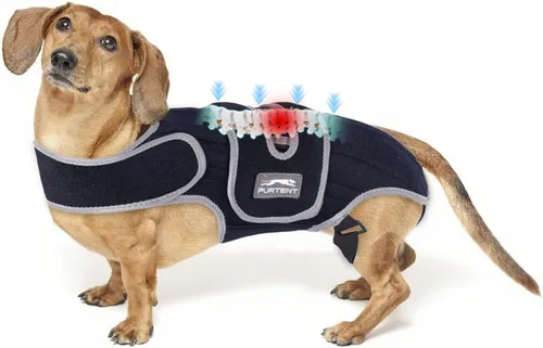 Miniatura 7 de Soporte de espalda para perro para IVDD, soporte de espalda suave y transpirable para mascotas para Shih Tzu y perro salchicha, arnés
