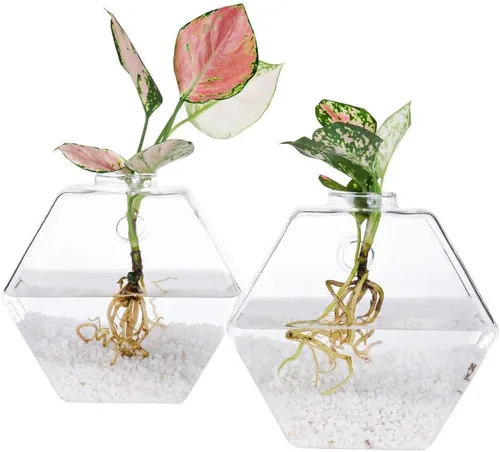 Miniatura 7 de Kingbuy Juego de Macetas Hexagonales de Pared - Paquete de 3 Jarrones de Terrario de Propagación de Vidrio con Soportes Colgantes para Plantas