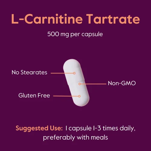 Miniatura 5 de BESTVITE Tartrato de L-carnitina 500 mg por cápsula (120 cápsulas) - Sin estearatos - Sin OMG - Sin gluten - Apoya la salud del corazón