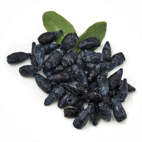 Fruta congelada fresca de Northwest Wild Foods - bayas silvestres orgánicas, naturales, para una dieta saludable y antioxidante. Ideal para batidos,