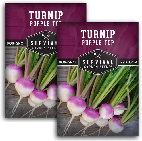 Semillas de nabo para plantar | Purple Top Heirloom Variedad sin OMG | Vegetal de raíz para jardines domésticos de otoño y primavera – Semillas de