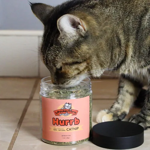 Miniatura 3 de Whiskertons Hurrb Hierba gatera para gatos y gatitos, 100% naturales y seguras golosinas de hierba gatera utilizada para juguetes y accesorios