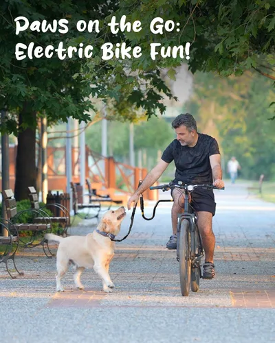 Miniatura 5 de Correa de bicicleta para perros – Accesorio de bicicleta manos libres para perros, absorción de golpes segura, longitud ajustable, fácil de instalar