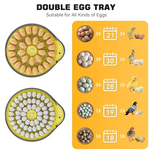 Miniatura 9 de IBKINXX Incubadora de 26 huevos para incubar huevos con guía de voz inteligente, vista de 360° con control automático de temperatura y humedad, giro
