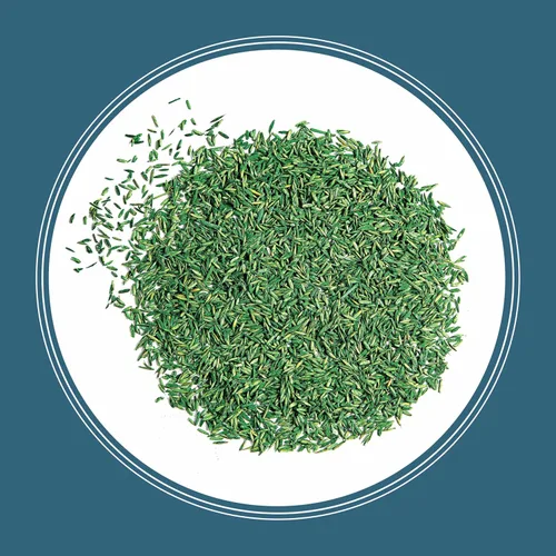 Miniatura 12 de Pennington Smart Seed - Mezcla de semillas para césped del noreste, 20 libras
