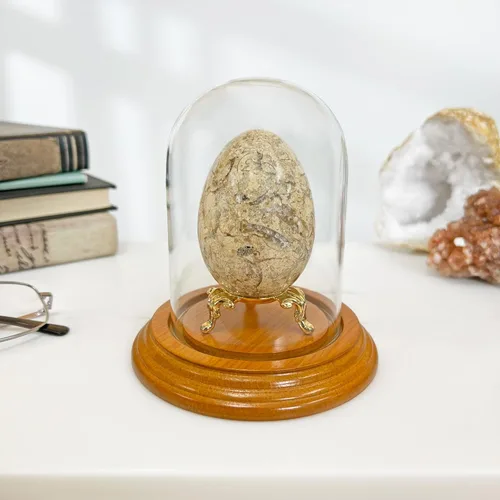 Miniatura 2 de Plymor Cúpula de cristal de 3" x 4" (base de chapa de roble)