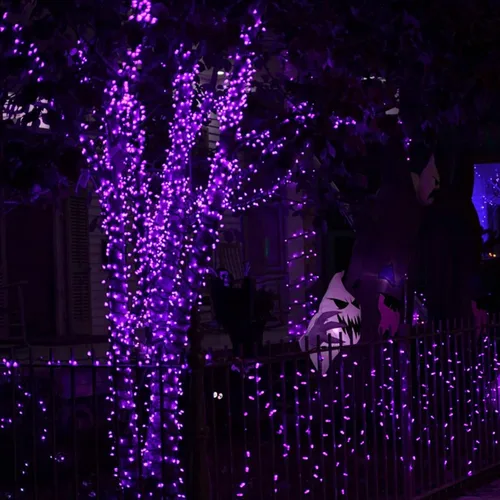 Miniatura 3 de Dazzle Bright - Guirnalda de luces de hadas de Halloween, 60 luces LED de 20 pies de alambre de cobre a batería y resistente al agua, decoraciones