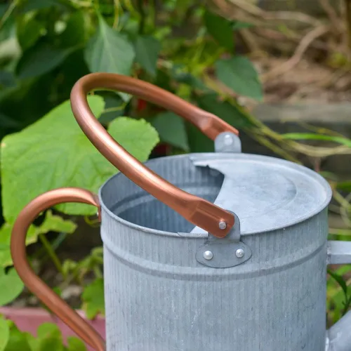 Miniatura 4 de Recipiente para regar plantas de interior y exterior, galvanizada, estilo moderno con asa y rosetón zinc