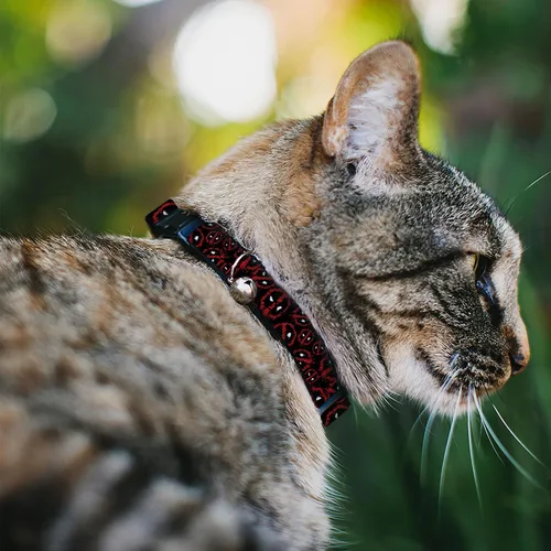 Miniatura 2 de Collar de gato Breakaway Deadpool Splatter Logo disperso negro rojo blanco 8 a 12 pulgadas 0.5 pulgadas de ancho