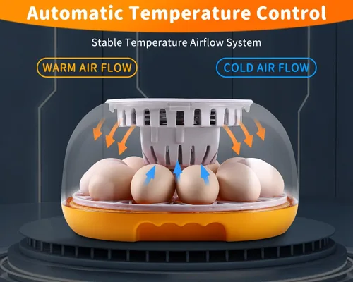 Miniatura 5 de Gpeng Incubadora de huevos, incubadora de 12 huevos con giro automático de huevos, control automático de temperatura, para incubar pollo, ganso