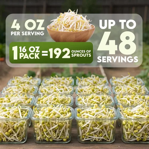 Miniatura 3 de Nature Jims Mung Bean Sprout Seeds – Semillas germinantes de 16 onzas – Semillas de frijol Mung Premium – Sin OMG – Bolsa resellable para una