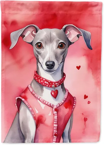 Miniatura 134 de Caroline's Treasures DAC5292CHF - Bandera de Border Collie My Valentine House para porche, grande, con manga para porche, para colgar en la pared