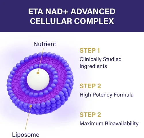 Miniatura 4 de NAD+ Supplement - NAD Resveratrol para energía celular y resistencia - Suplementos energéticos con ribósido de nicotinamida, semilla de uva
