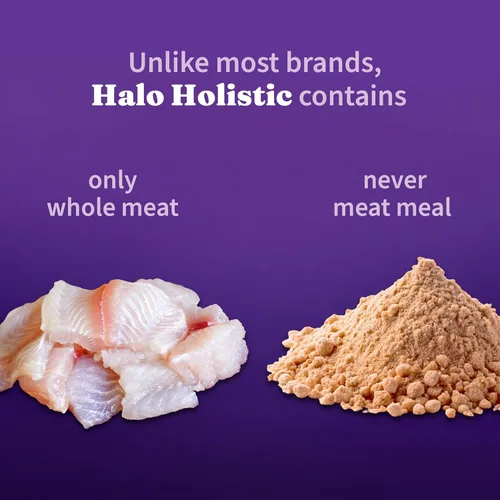 Miniatura 4 de Halo Holistic, comida de gato con fórmula de pescado blanco capturado en la naturaleza, alimento seco con granos saludables, para el apoyo al