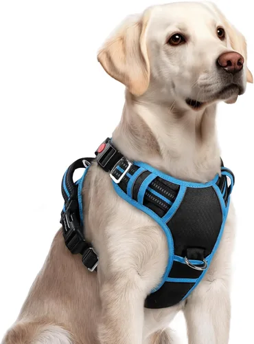 Miniatura 49 de rabbitgoo Arnés para perro de tamaño pequeño, chaleco para perro sin tirones con 3 hebillas, arnés ajustable y acolchado suave para mascotas con asa