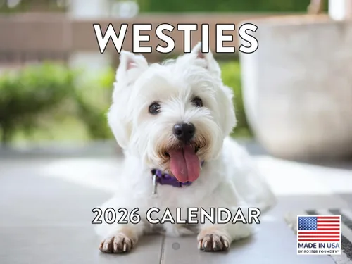 Miniatura 22 de Calendario de pared mensual 2025 Great Dane de 12 meses, fabricado en Estados Unidos