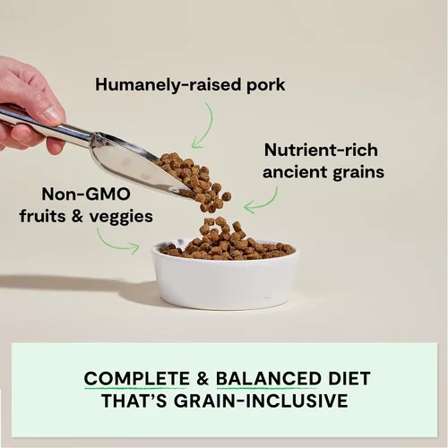 Miniatura 2 de Open Farm, Alimento seco para perros con granos ancestrales, rico en proteínas y nutrientes, 90% de proteína animal mezclada con frutas, verduras